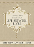 Llewellyn's Little Book of Life Between Lives - Hardcover